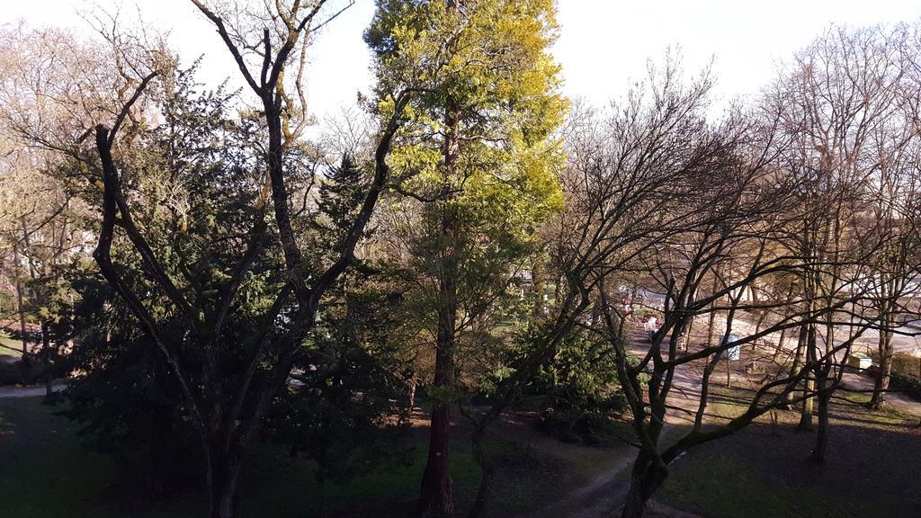 Appartement Sweet Dijon-arquebuse *